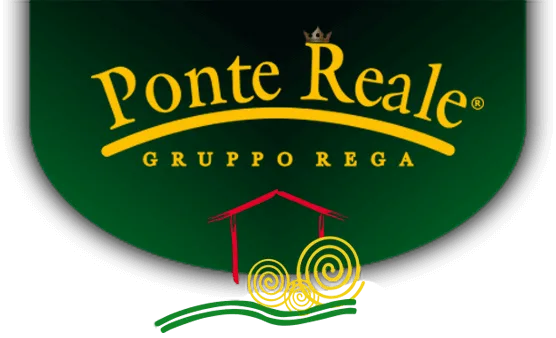 Logo Ponte Reale